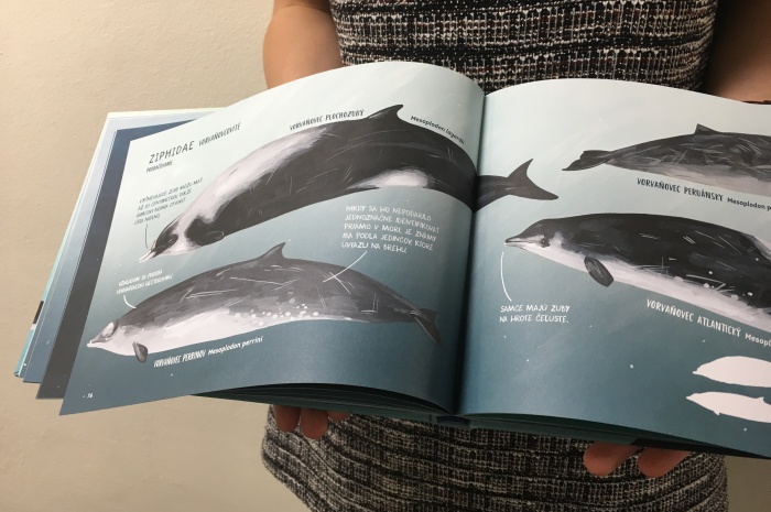 Veľryby encyklopédia ilustrovaná, knižka o delfínoch a veľrybách