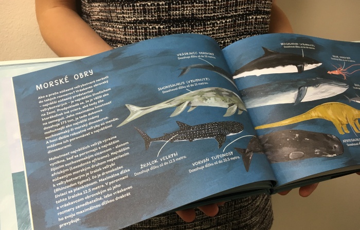 Veľryby encyklopédia ilustrovaná, knižka o delfínoch a veľrybách