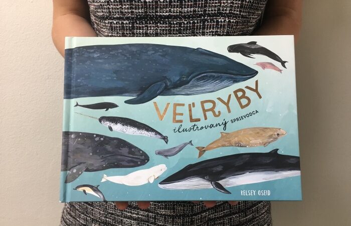 Veľryby aj delfíny v krásne ilustrovanej knihe, ktorú budete chcieť
