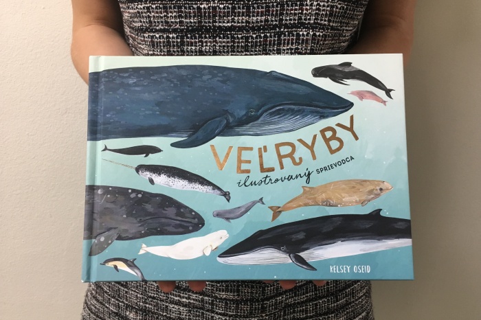 Veľryby ilustrovaný sprievodca, encyklopédia o veľrybách a delfínoch