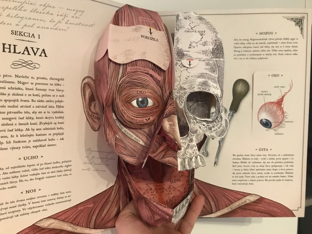 Ľudské telo kniha