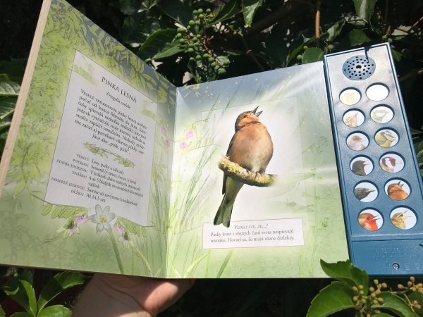 Zvuková kniha vtáky našich záhrad
